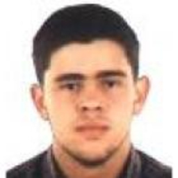 Oscar Santiago Viana