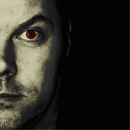 Daniel Knorr's profile picture