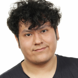 Sebastian Palomares Portocarrero