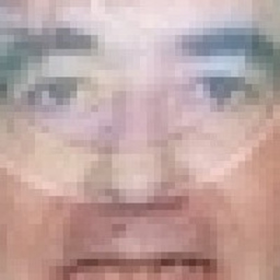 Tom Woods