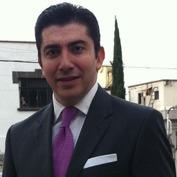 MAURICIO XAVIER VILLARREAL MORALES