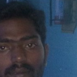 muniappan palanisamy