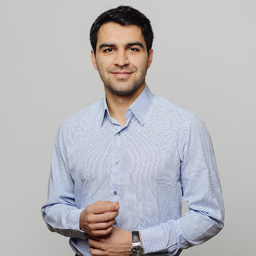 Ing. Teodor Grünberg-Vasile