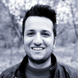 Mohammad Hadi Karamzadeh