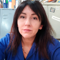 Dina Čejvan