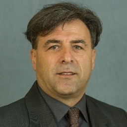 Vladimir Grigorov's profile picture