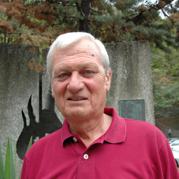 Adriano Maini