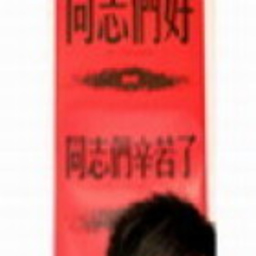 Prof. Dr. 战克 王