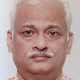 Ravindra Fulmamdikar