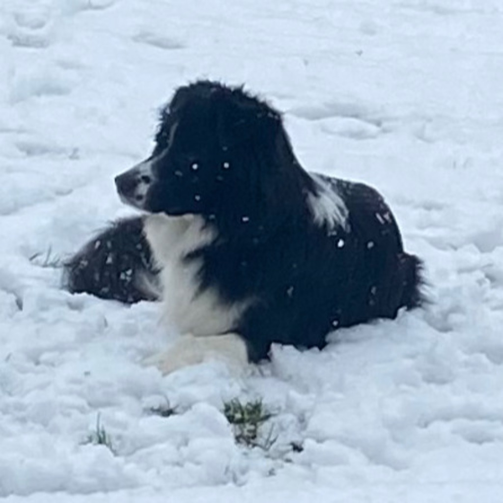 Eva Bartels Leiter HeinrichsGruppe XING