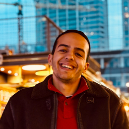 Mounir El Minaoui