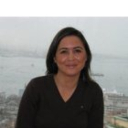 Ayse Inan