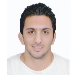 Ramzi Souissi