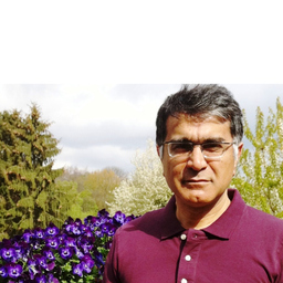 Seyed Mohammad Kashfi Jazi