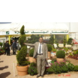 Ismail Elhamdi