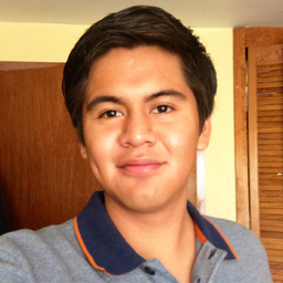 Luis Angel Mendoza Velasco