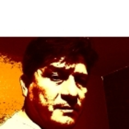 luis enrique sardon meza