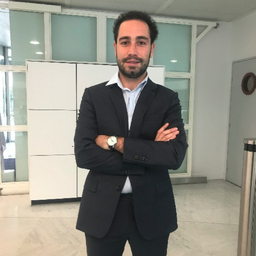 Yann Zmirou