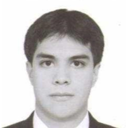 Ricardo Dominguez Alvarez