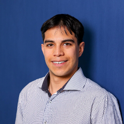 Ricardo Dominguez Alvarez