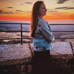 Vlada Minor
