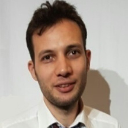 Ahmad labib Kayali