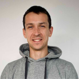 Dmitrii Shaulskii