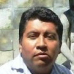 Julio Cesar Villarreal Gonzalez