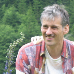 Wolfgang Wali Schürings