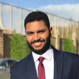 mahmoud lotfy