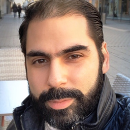 Polichronis Vassiliadis