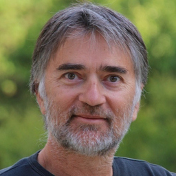 Prof. Michel Bodin's profile picture