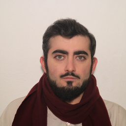 Dareios Hashemi