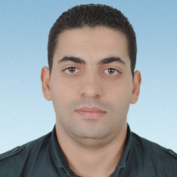 Dipl.-Ing. Riadh JELLALI