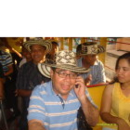 MANUEL GONZALEZ DEMEDINA