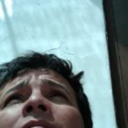 Fabián Dario Lemos