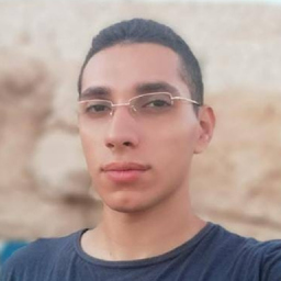 Hossam Eldeen Onsy's profile picture