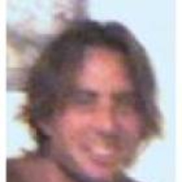 giuseppe volpe