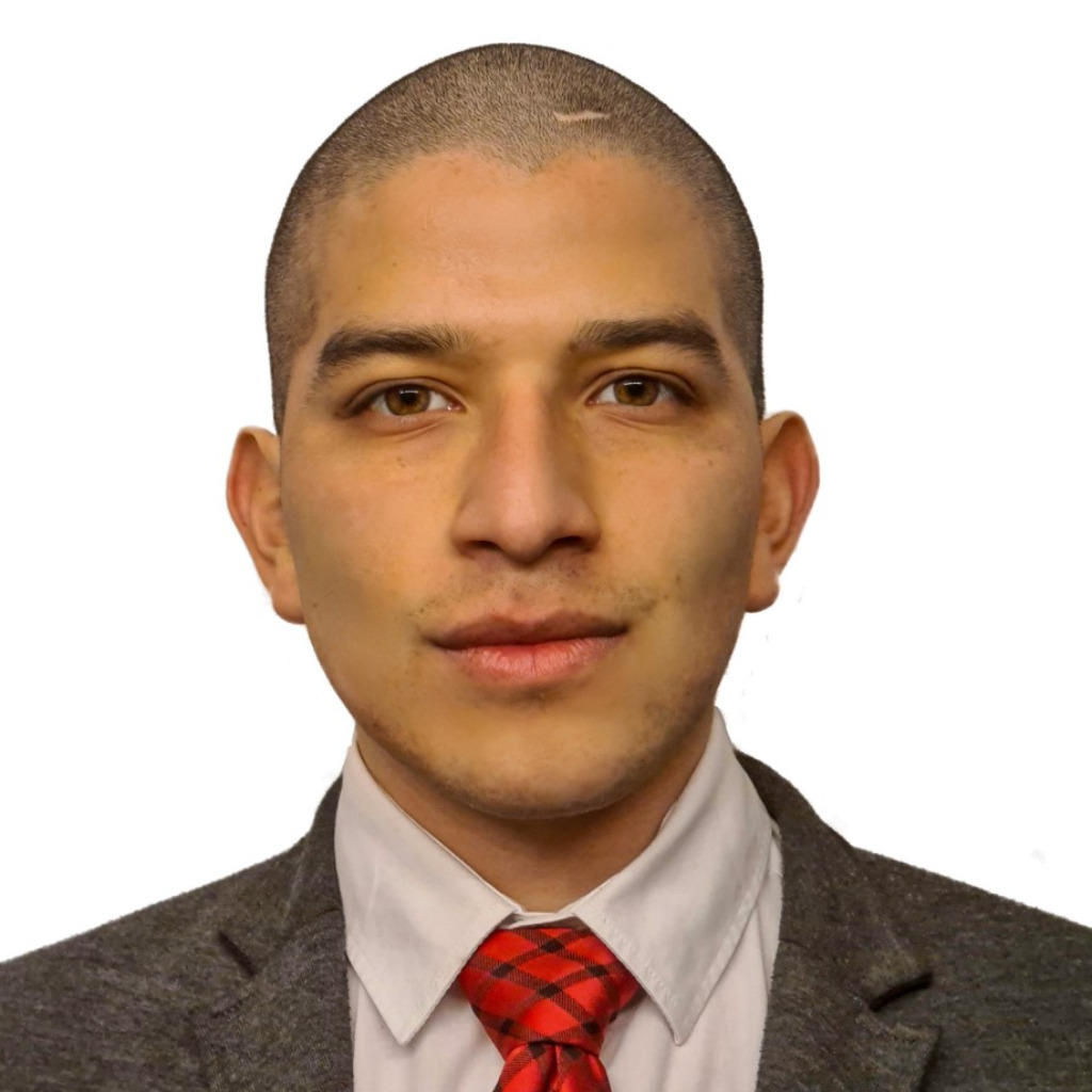 Omar flores business analyst fev consulting gmbh xing