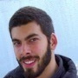 Julio Alberto Alegre Stelzer