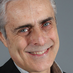 stefano lazzarini