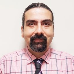 Seyed Mohammadmehdi Lavasani