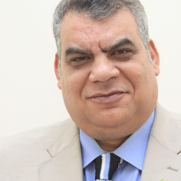 Ahmed Abdel Baki