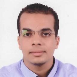 Mostafa (Taher) Abdelsattar's profile picture
