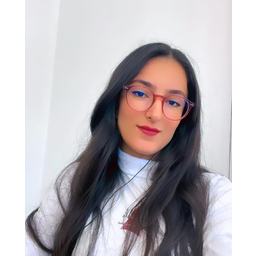 Sirine Karoui