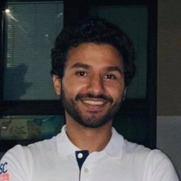 Mohamed Moustafa