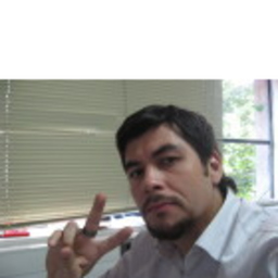 Ricardo Celis G