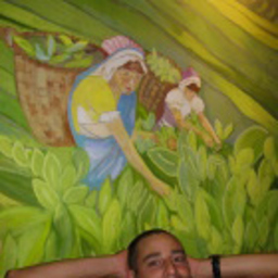 Róbert Szabó