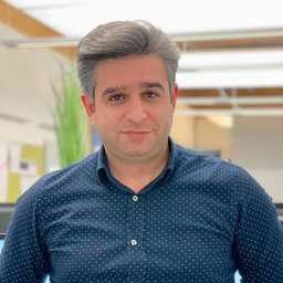 AmirAhmad Sabzalian
