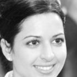 Dina Engineer